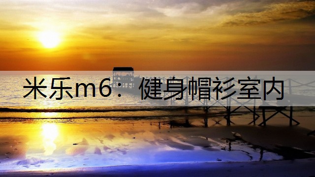 米乐m6：健身帽衫室内