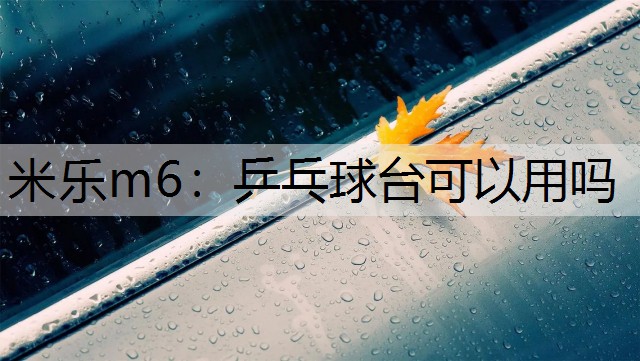 米乐m6：乒乓球台可以用吗