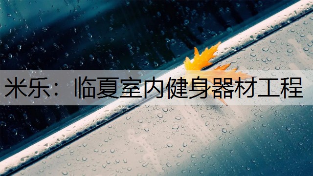 <strong>米乐：临夏室内健身器材工程</strong>