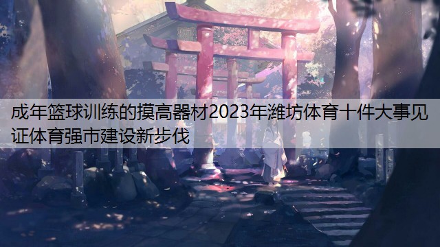 <strong>成年篮球训练的摸高器材2023年潍坊体育十件大事见证体育强市建设新步伐</strong>