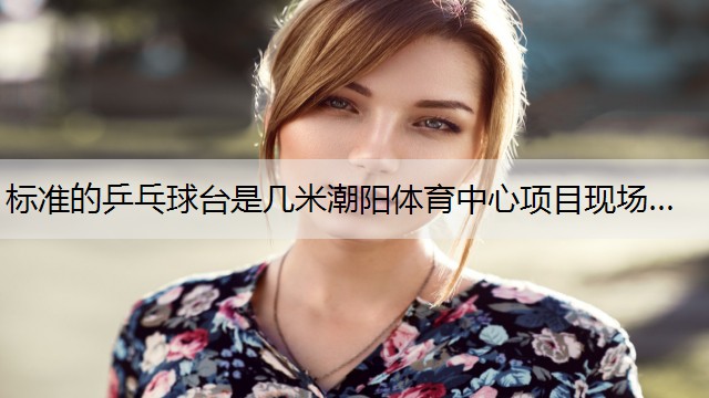 <strong>标准的乒乓球台是几米潮阳体育中心项目现场…</strong>