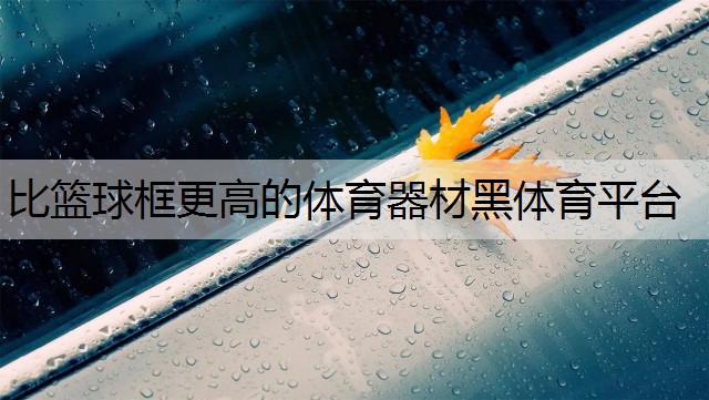 <strong>比篮球框更高的体育器材黑体育平台</strong>