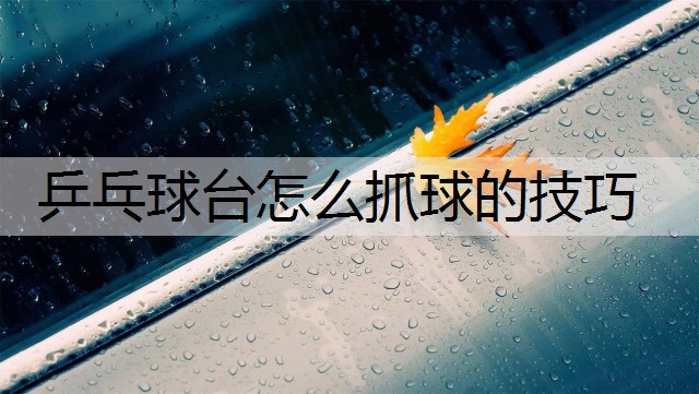 <strong>乒乓球台怎么抓球的技巧</strong>