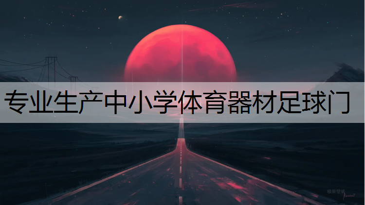 <strong>专业生产中小学体育器材足球门</strong>