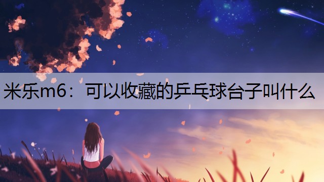 可以收藏的乒乓球台子叫什么