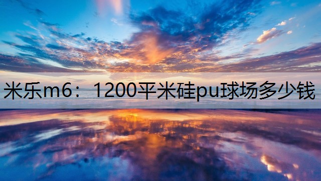 1200平米硅pu球场多少钱