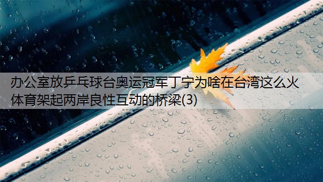 办公室放乒乓球台奥运冠军丁宁为啥在台湾这么火 体育架起两岸良性互动的桥梁(3)